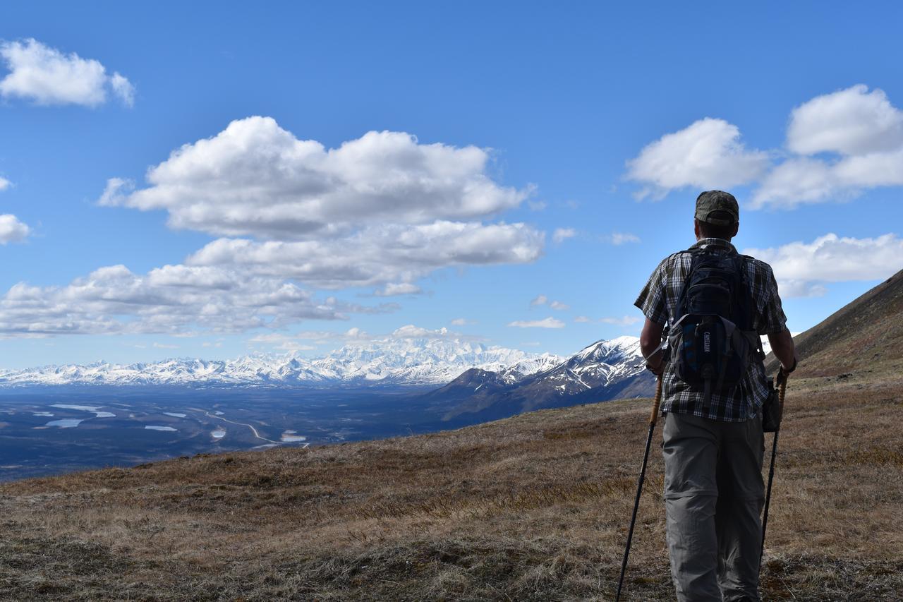 Backwoods Lodge Cantwell Bagian luar foto