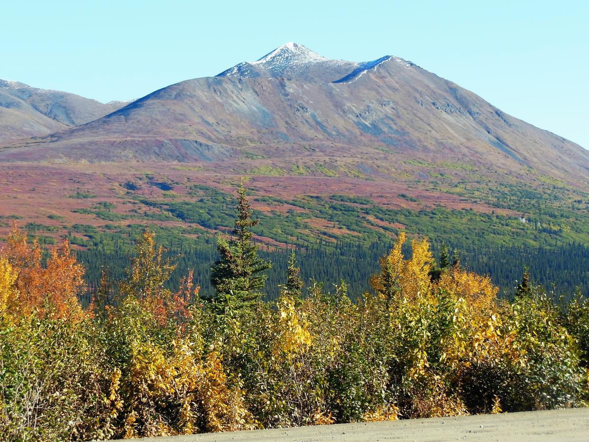 Backwoods Lodge Cantwell Bagian luar foto