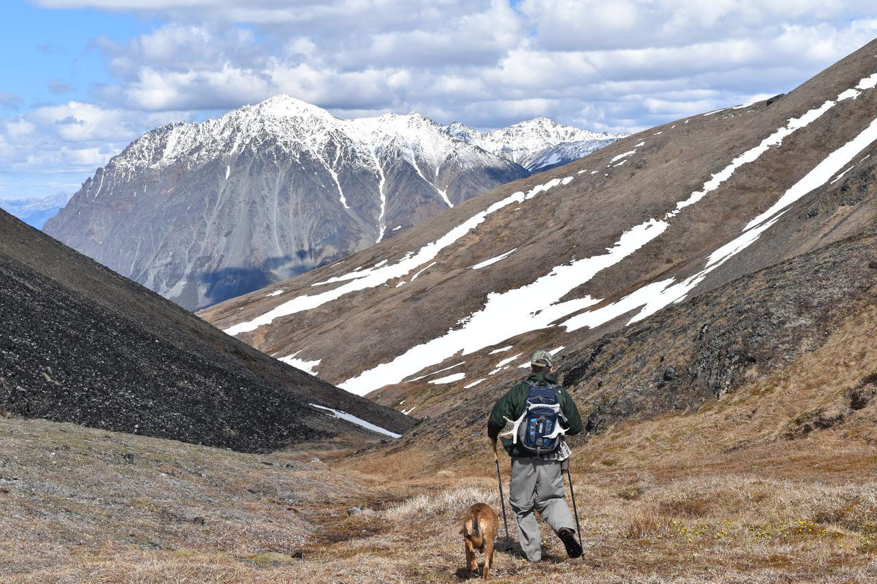 Backwoods Lodge Cantwell Bagian luar foto