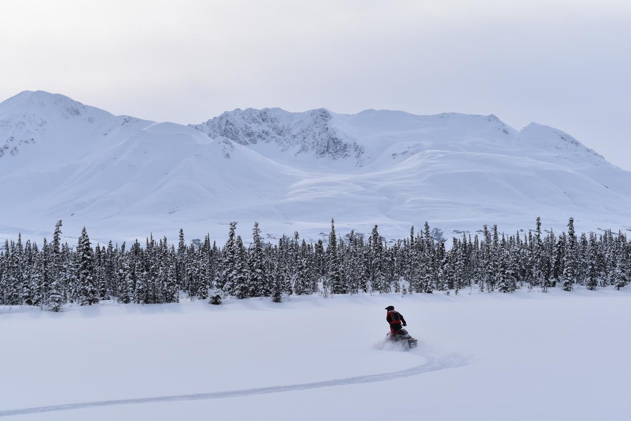 Backwoods Lodge Cantwell Bagian luar foto