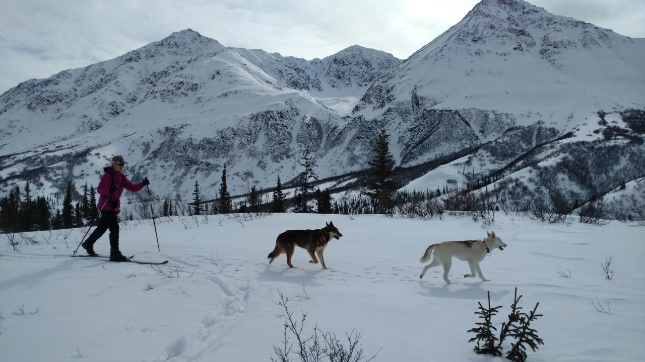 Backwoods Lodge Cantwell Bagian luar foto