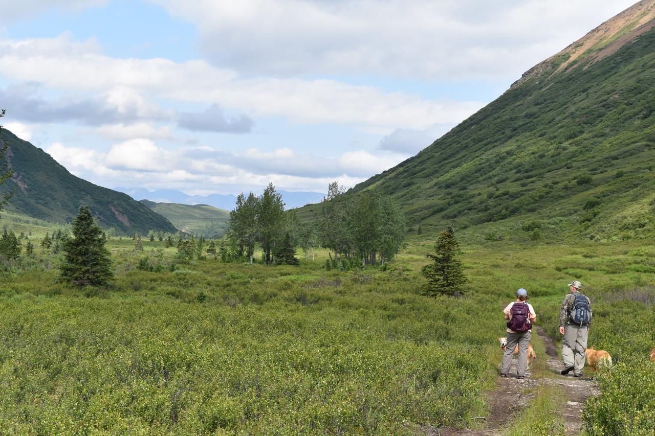 Backwoods Lodge Cantwell Bagian luar foto